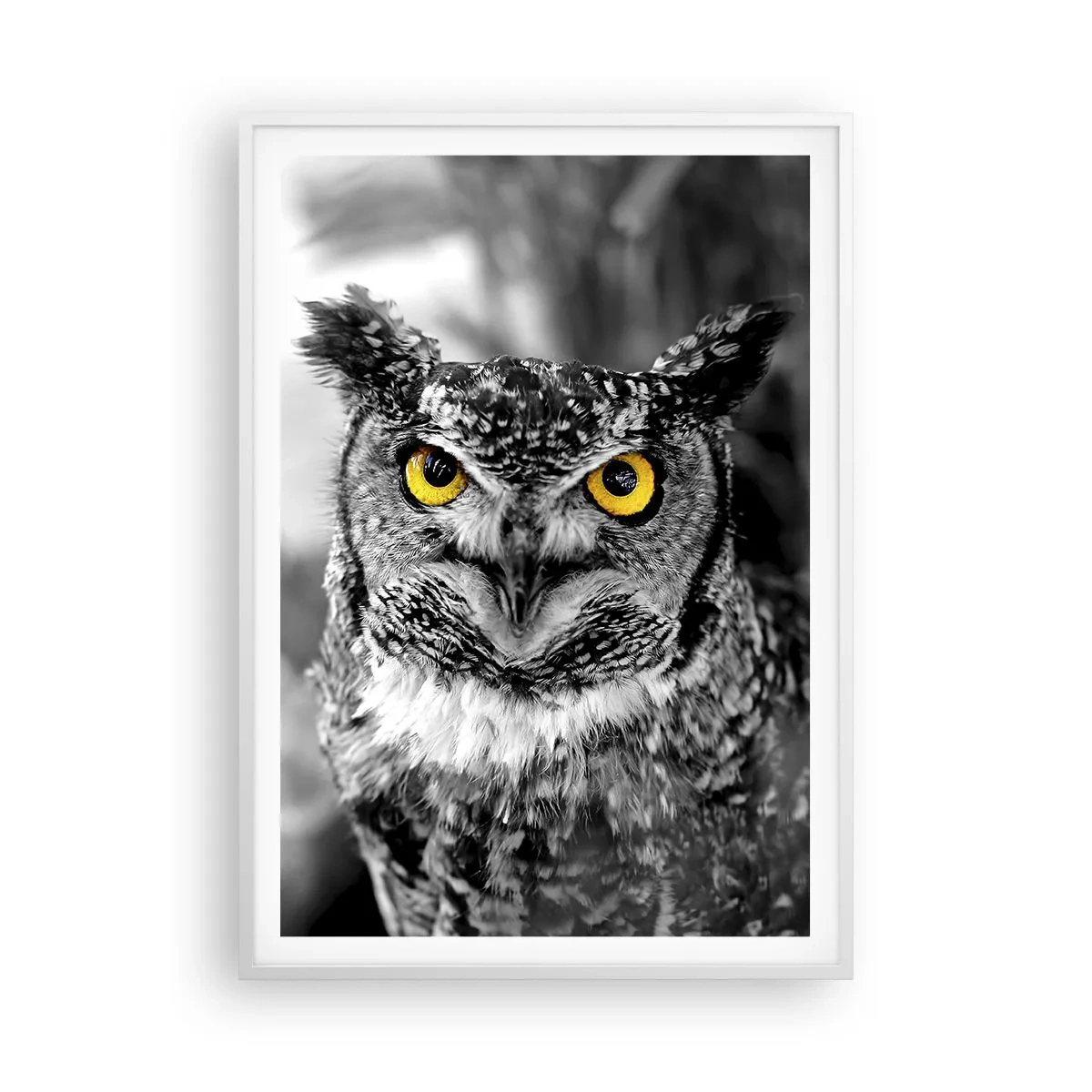 Plakát v bílém rámu - Nic se neschová - 70x100 cm