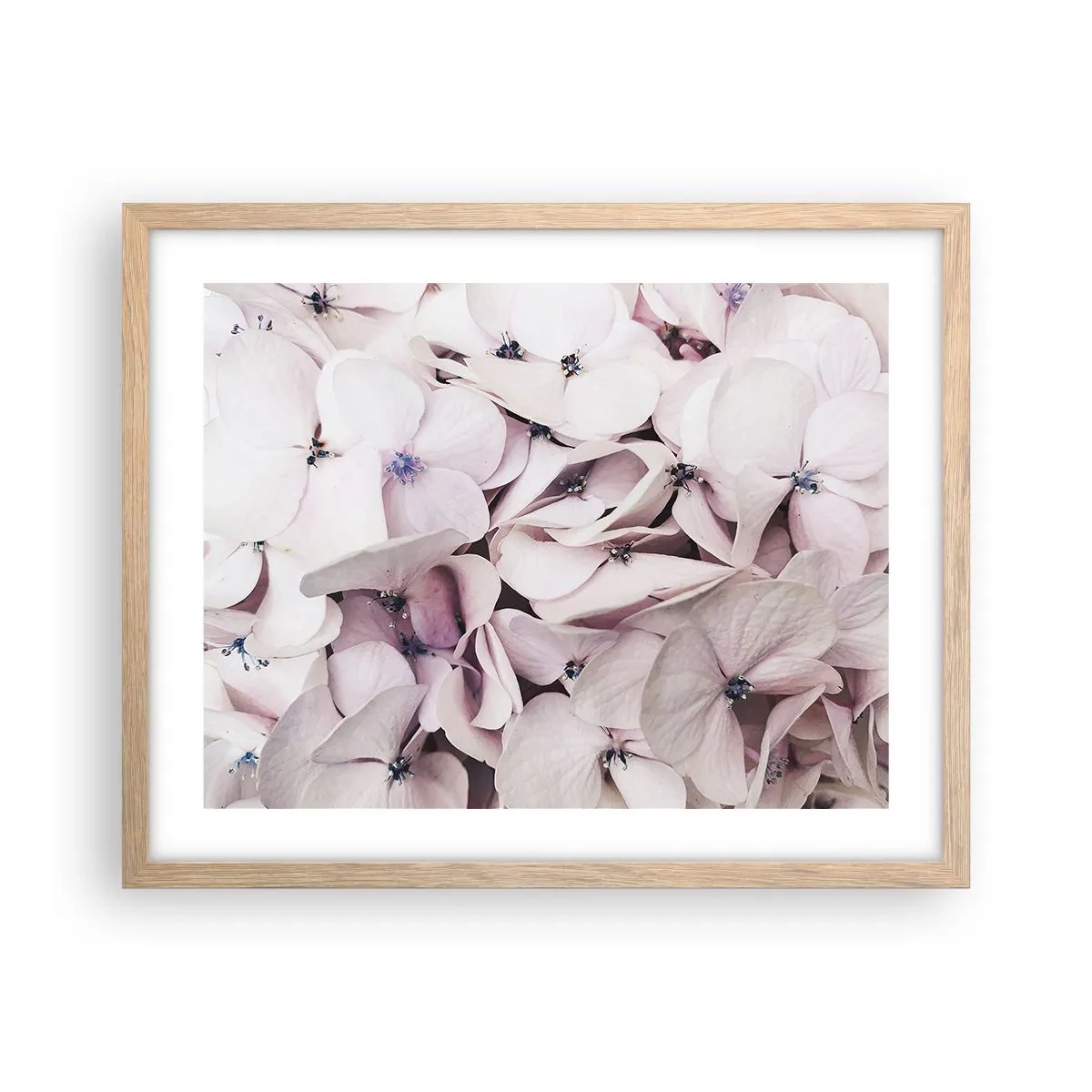 Plakát v rámu světlý dub - V záplavě květin - 50x40 cm