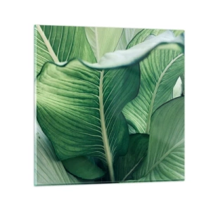 Obraz na skle - Intenzivně zelený život - 40x40 cm