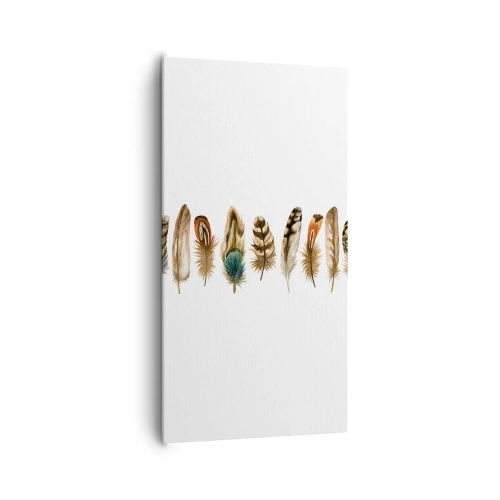 Obraz na plátně - Opeřená variace - 65x120 cm
