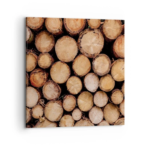 Obraz na plátně - Nový začátek - 70x70 cm