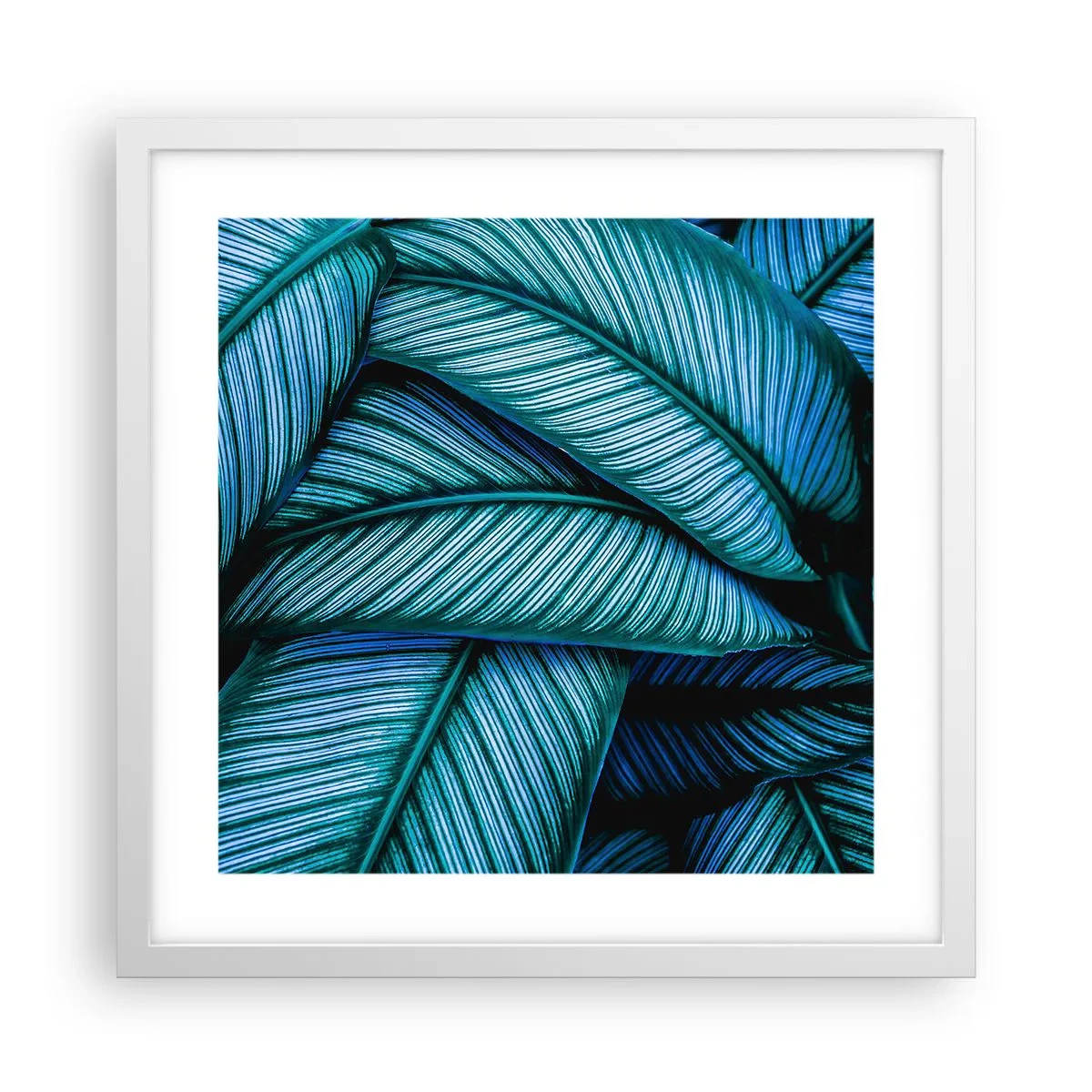 Plakát v bílém rámu - Čáry života - 40x40 cm