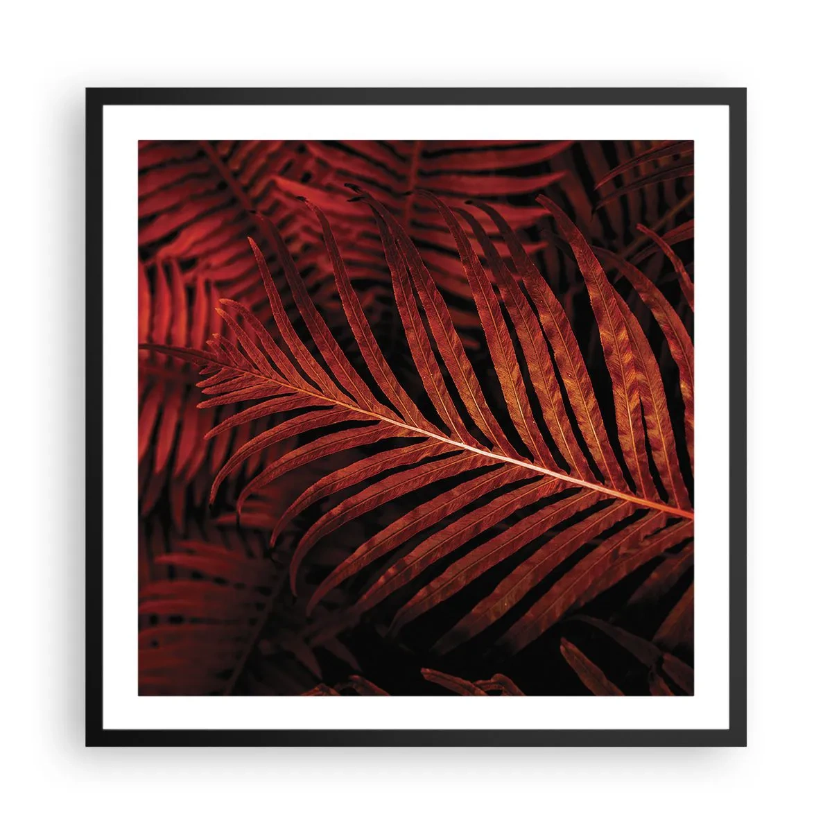 Plakát v černém rámu - Žár života - 60x60 cm