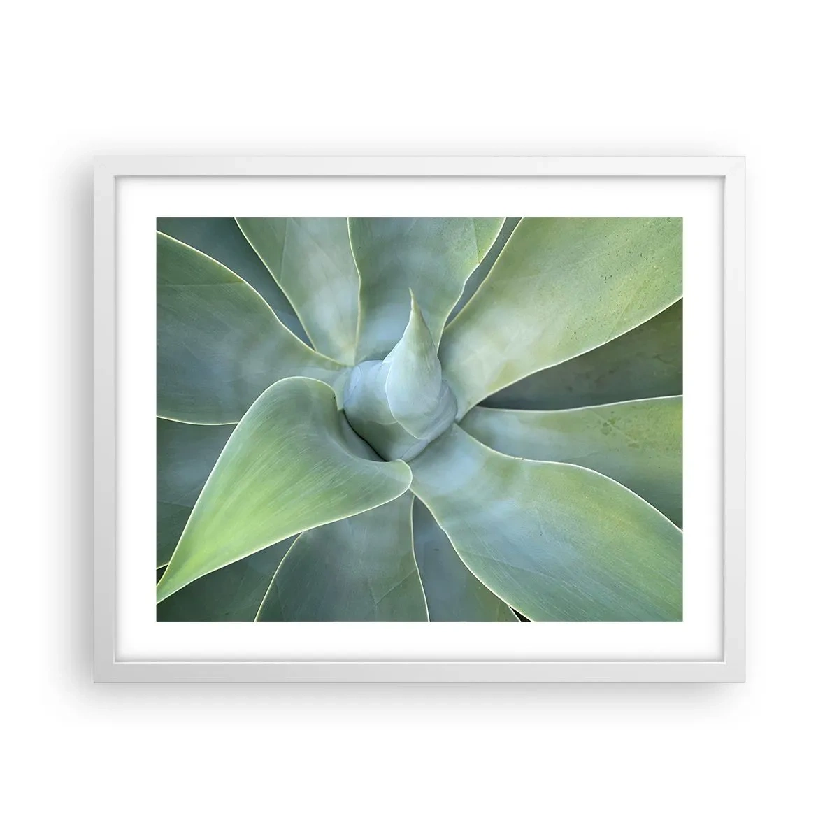 Plakát v bílém rámu - Zrození zeleně - 50x40 cm