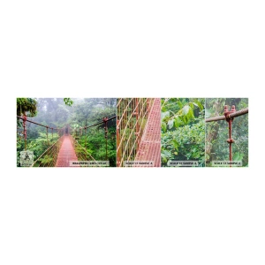 Vzor Fototapety Premium Canvas - Zavěšený nad korunami - Krajina, Džungle, Kostarika - 100x30 cm