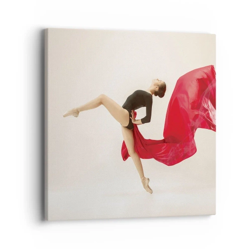 Obraz na plátně - Červené a černé - 40x40 cm