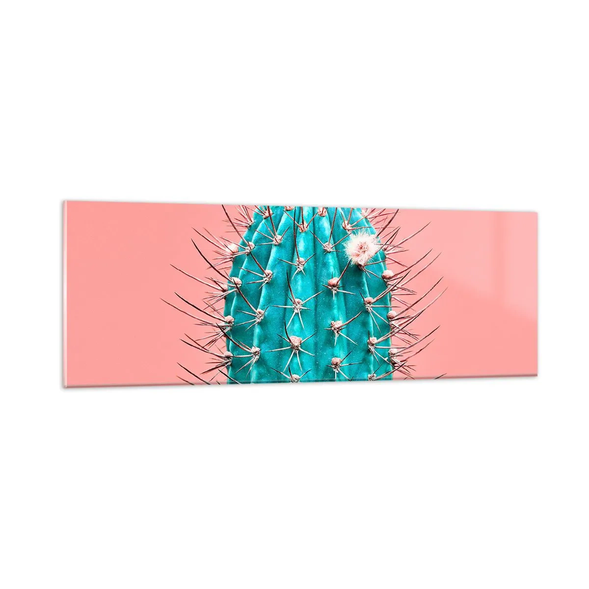 Obraz na skle - Jen koukej - 90x30 cm