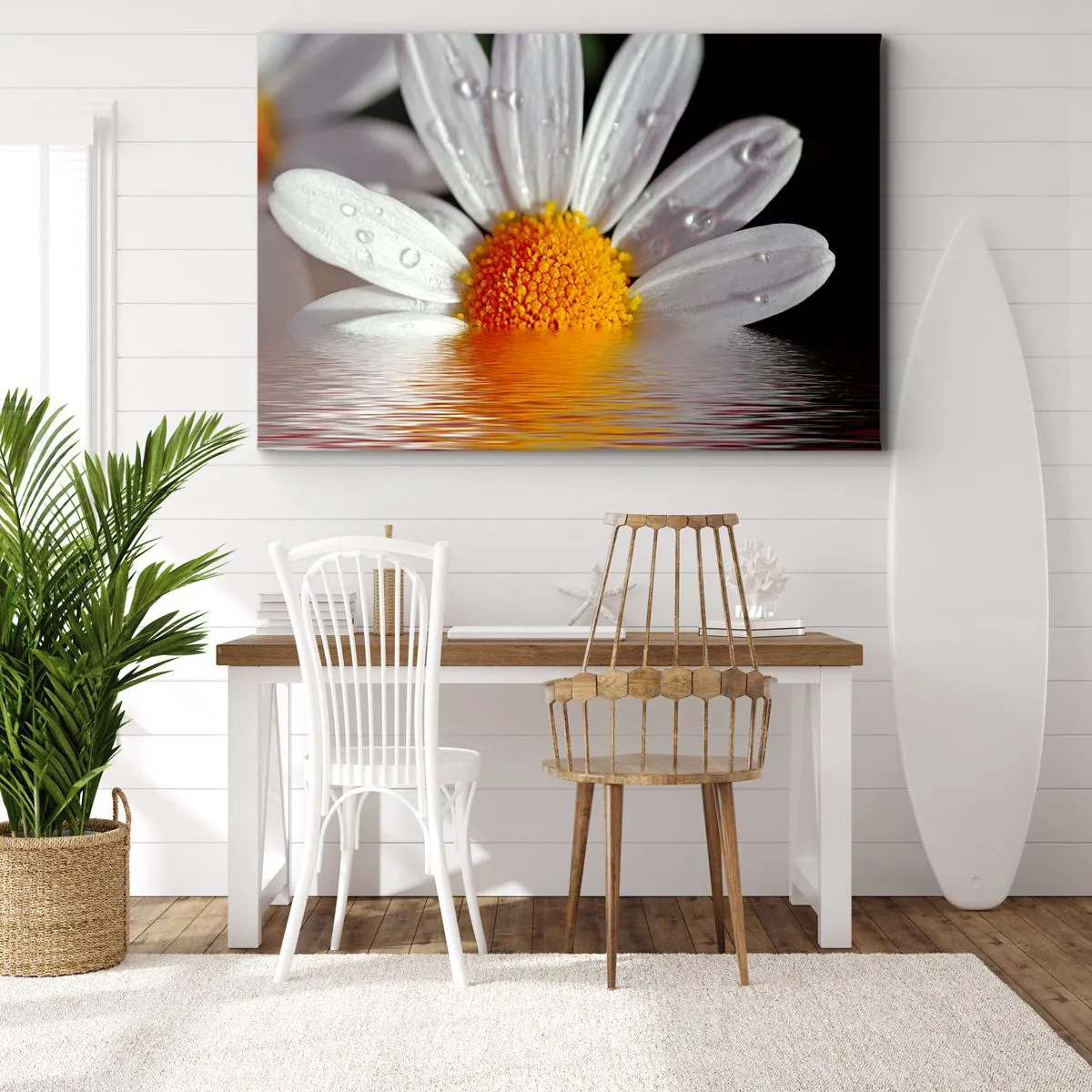 Obraz na plátně - Bílá sedmikráska s kapkami vody ponořená do odrazu vody - 70x50cm - Vycházející slunce sedmikrásky - Moderní nástěnná dekorace do obývacího pokoje a ložnice ARTTOR