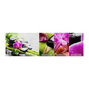 Vzor Fototapety Premium Sand - V klidné rovnováze - Květiny, Orchidej, Orchidej - 100x30 cm