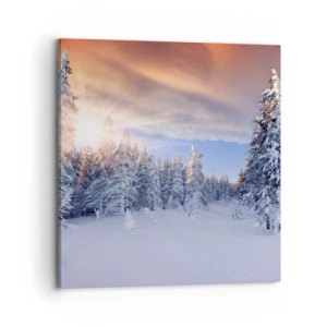 Obraz na plátně - Sněžné představení přírody - 70x70 cm