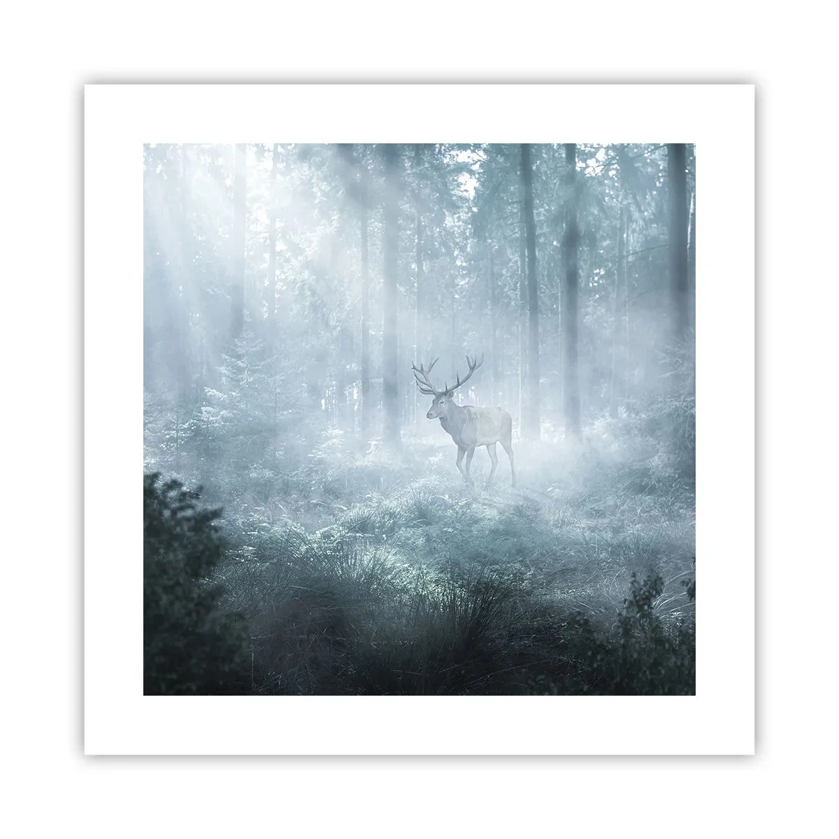 Plakát - Ranní obchůzka sídliště - 40x40 cm