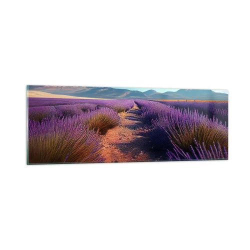 Obraz na skle - Voňavá pole - 90x30 cm