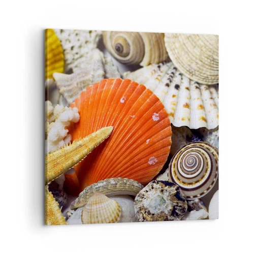 Obraz na plátně - Poklady oceánu - 60x60 cm