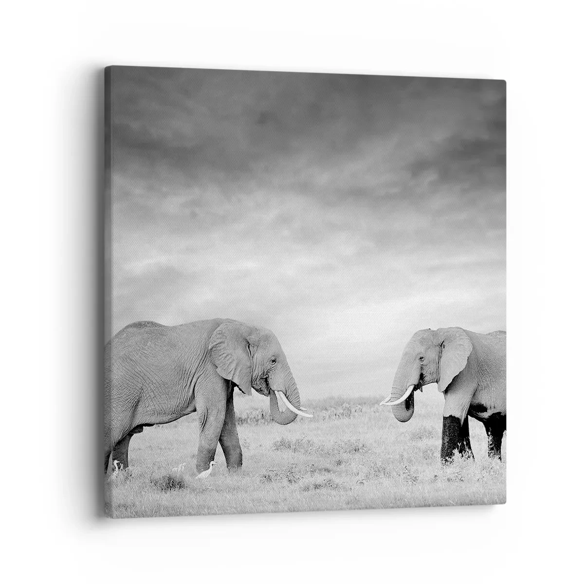 Obraz na plátně - Šedá je krásná - 40x40 cm