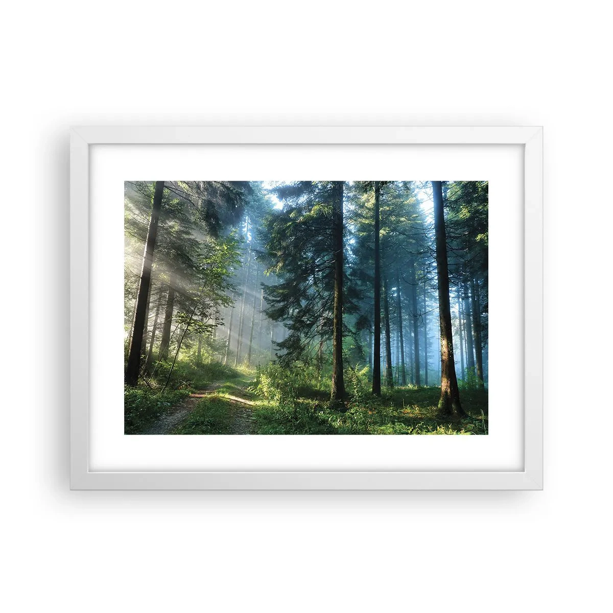 Plakát v bílém rámu - Zářící za úsvitu - 40x30 cm