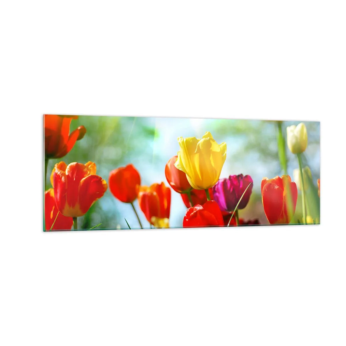 Obraz na skle - Všechny barvy slunce - 140x50 cm