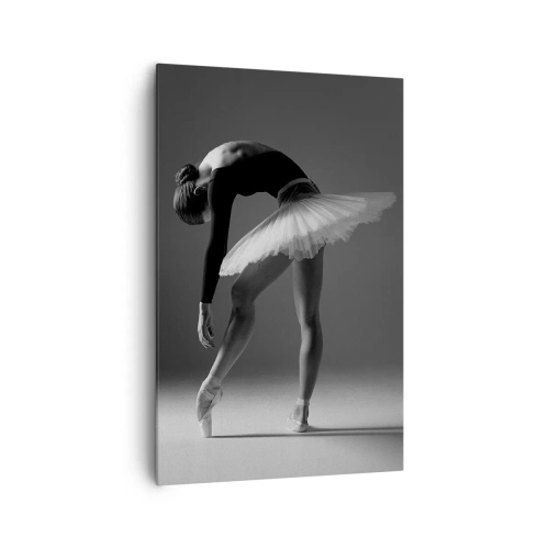 Obraz na plátně - Bella ballerina - 80x120 cm
