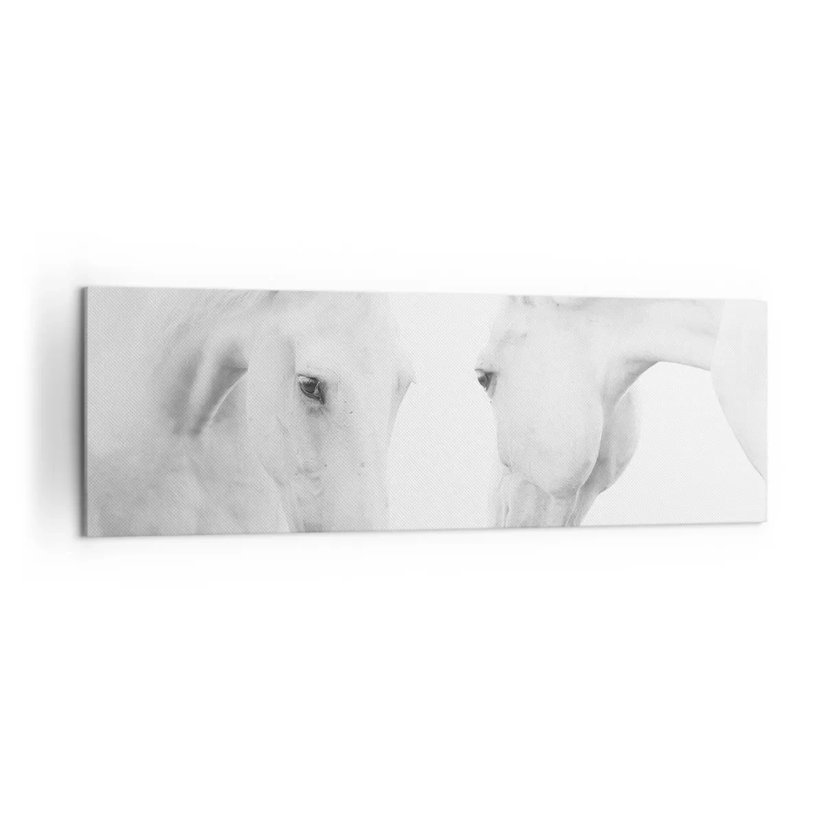 Obraz na plátně - Je to přátelství…? - 160x50 cm