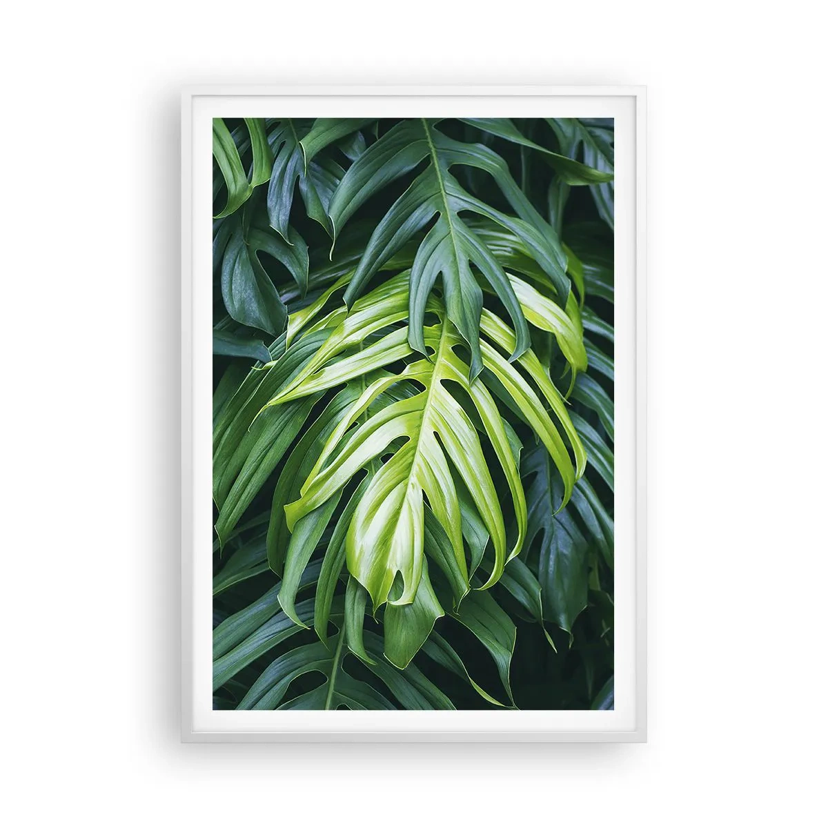 Plakát v bílém rámu - Ponořit se do svěžesti - 70x100 cm