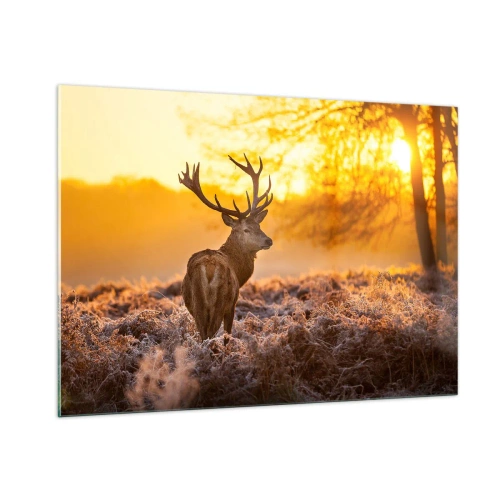 Obraz na skle - Král podzimního lesa - 100x70 cm