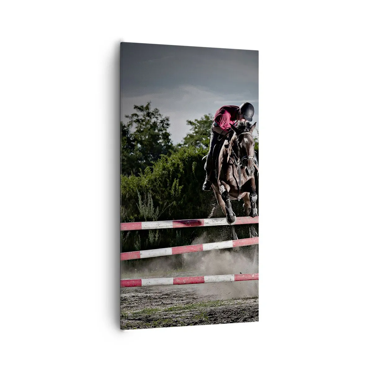 Obraz na plátně - Společně pro vítězství - 65x120 cm