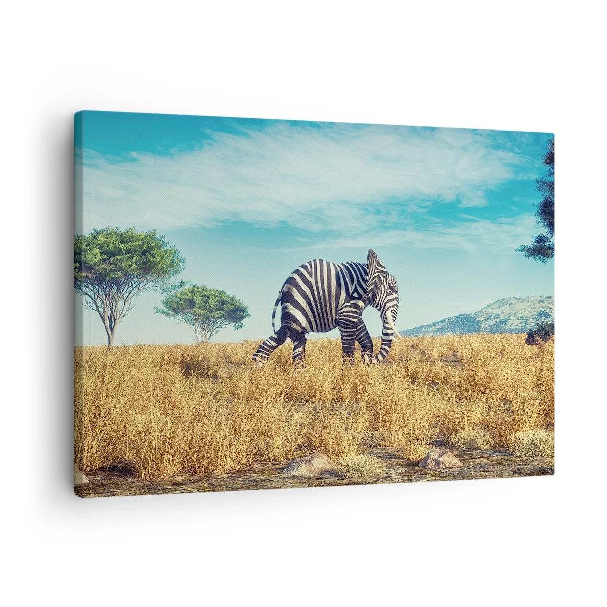 Obraz na plátně - Šedá už není v módě - 70x50 cm