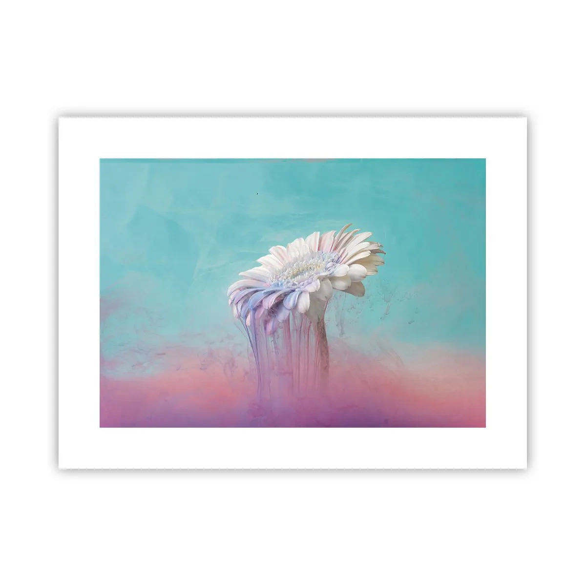 Plakát - Záhrobí květin - 40x30 cm