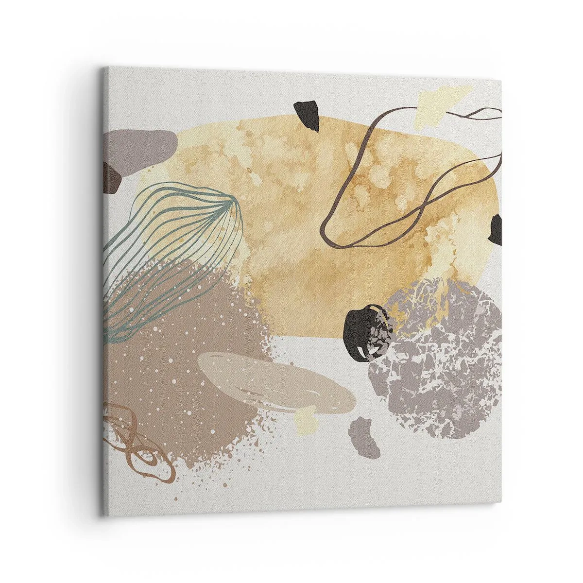 Obraz na plátně - Abstraktní švestka - 50x50 cm