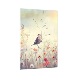 Obraz na skle - Portrét ptáka s loukou v pozadí - 70x100 cm