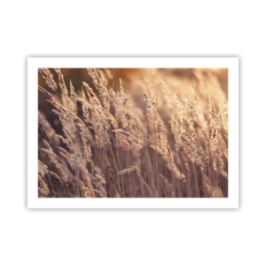 Plakát - Připraveni přivítat podzim - 70x50 cm