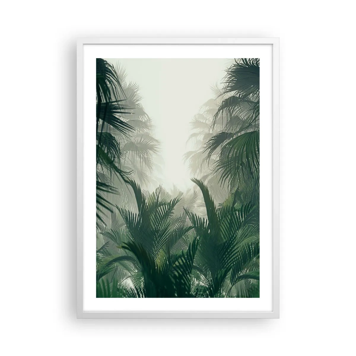 Plakát v bílém rámu - Tropická záhada - 50x70 cm