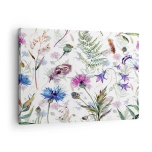 Obraz na plátně - Akvarelové květiny a byliny na bílém pozadí v herbářovém stylu - 70x50cm - Polský herbář - Moderní nástěnná dekorace do obývacího pokoje a ložnice ARTTOR