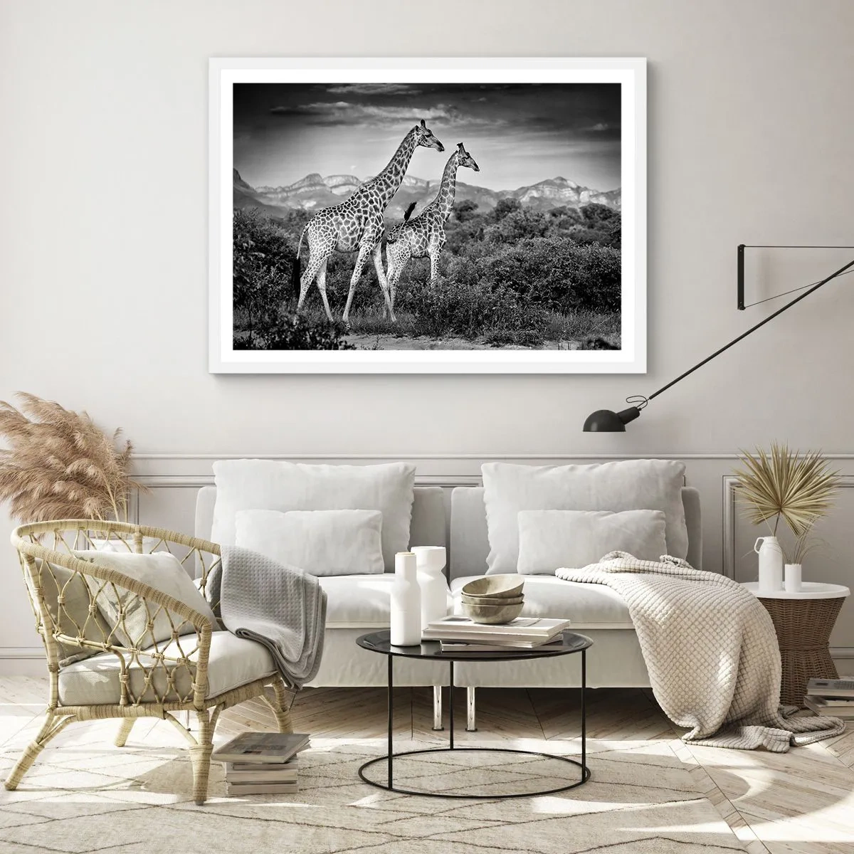 Plakát v bílém rámu - Vyšší kruhy v Africe - 70x50 cm