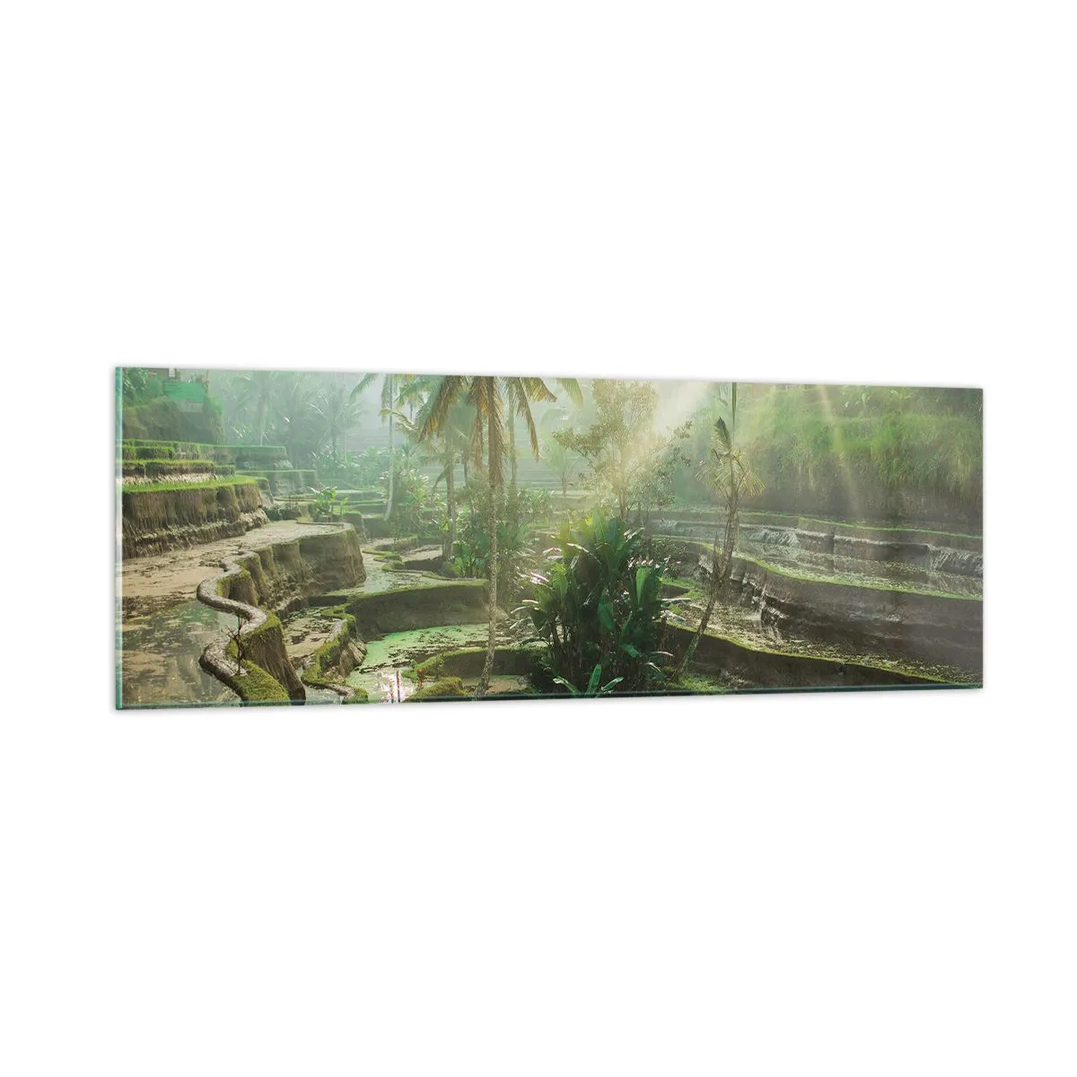 Obraz na skle - Vyrůstát na slunci - 90x30 cm