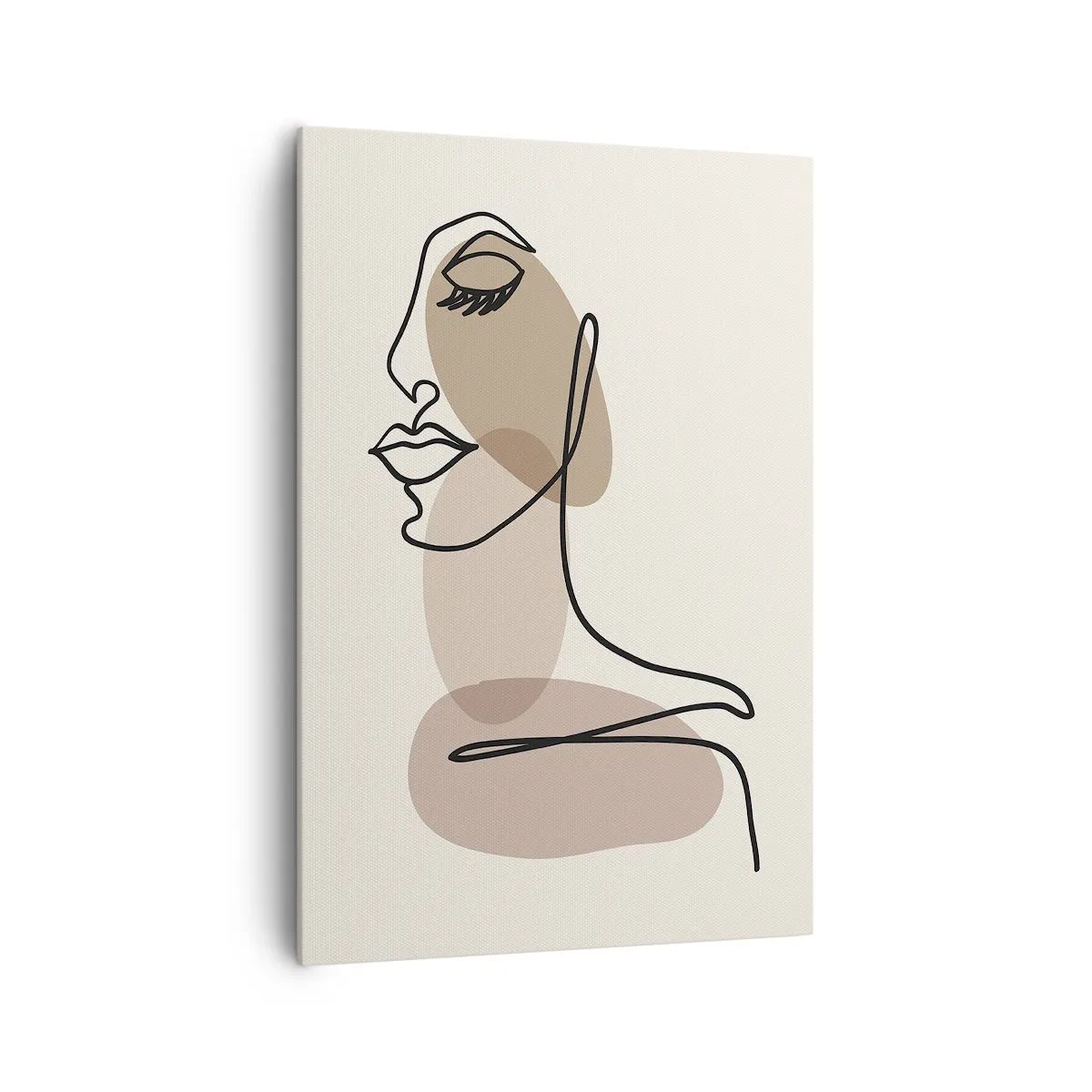 Obraz na plátně - Určitá linie krásy - 70x100 cm