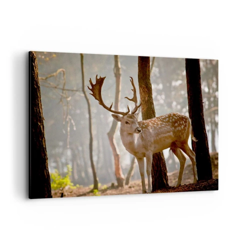 Obraz na plátně - Světlo mládí - 100x70 cm