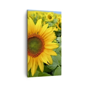 Obraz na plátně - Zahořely stovky sluncí - 45x80 cm