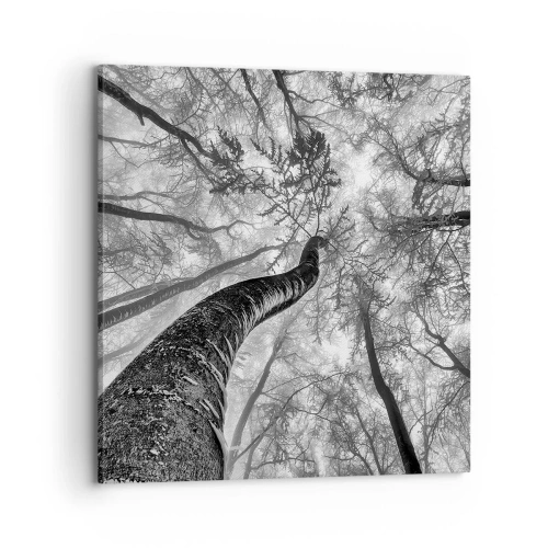 Obraz na plátně - Závod ke světlu - 70x70 cm