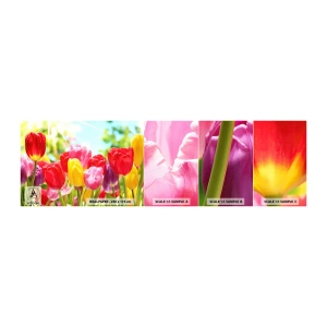 Vzor Fototapety Samolepicí Deluxe Sticker - To jsme my, barvy května! - Květiny, tulipány, Zahrada - 100x30 cm