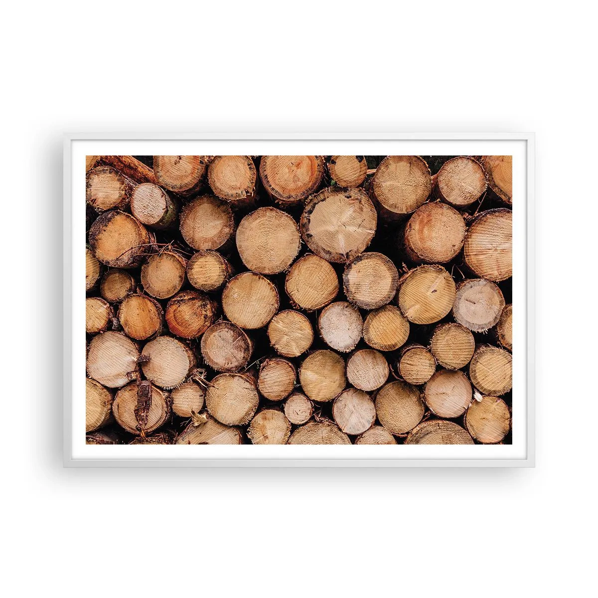 Plakát v bílém rámu - Nový začátek - 100x70 cm