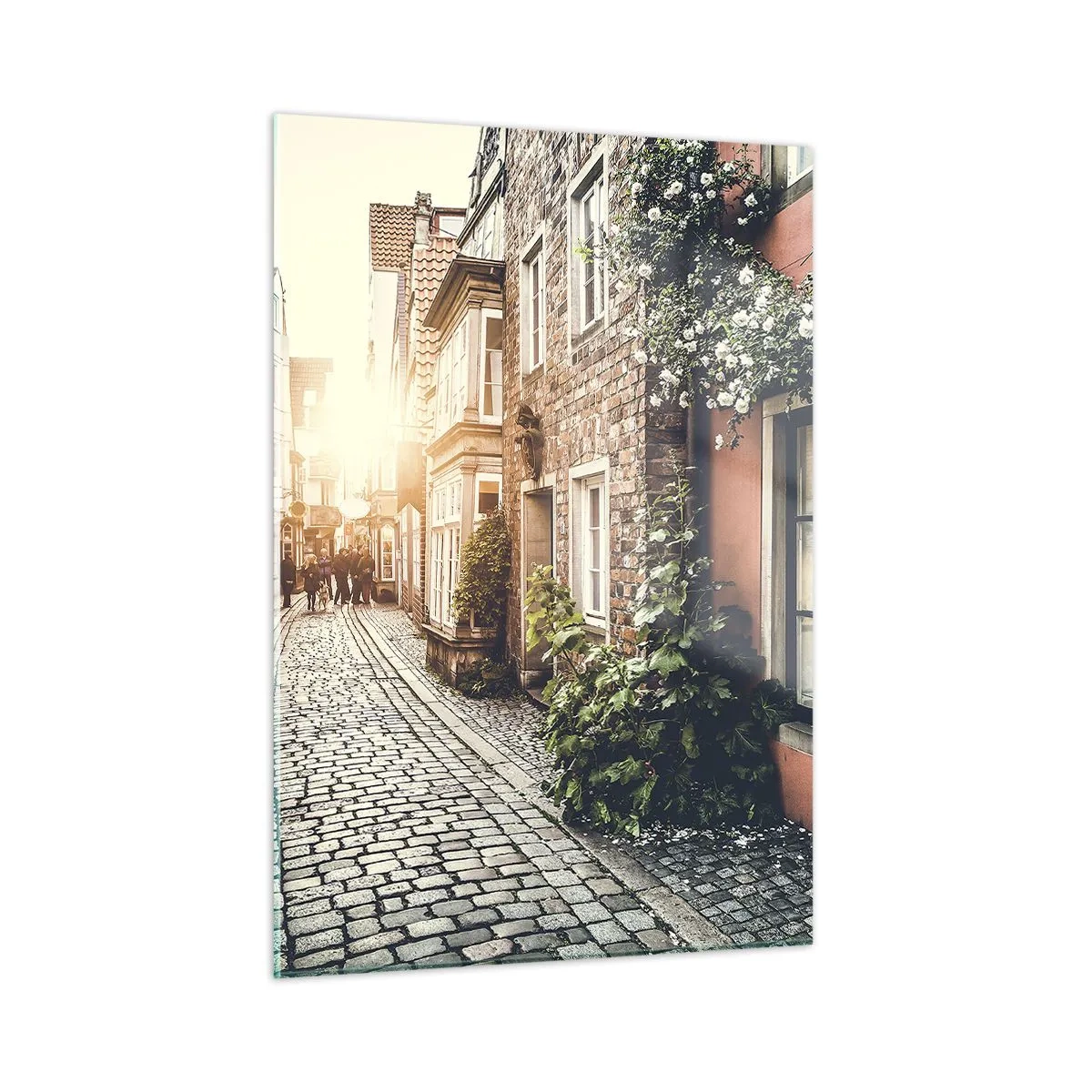 Obraz na skle - Růžová ulička v růžové září - 50x70 cm