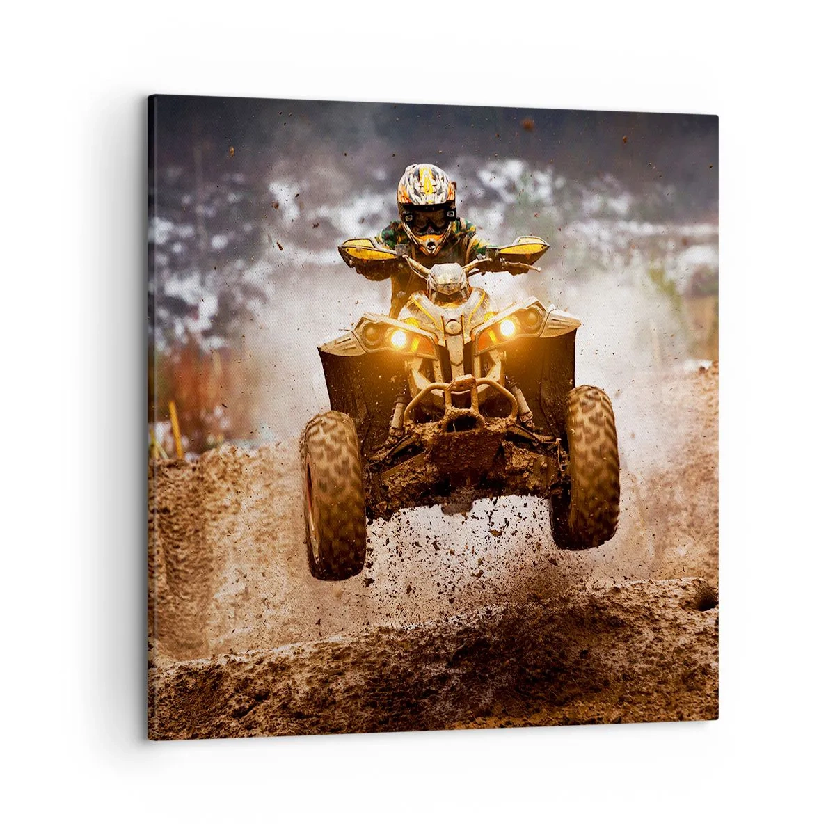 Obraz na plátně - No risk no fun - 50x50 cm