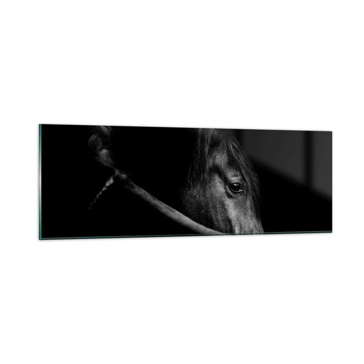 Obraz na skle - Černý kníže - 90x30 cm