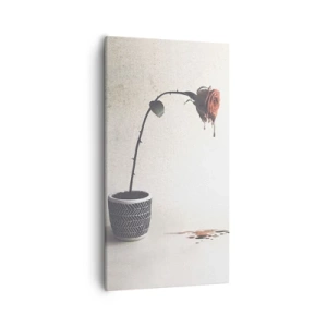 Obraz na plátně - Rosa dolorosa - 55x100 cm
