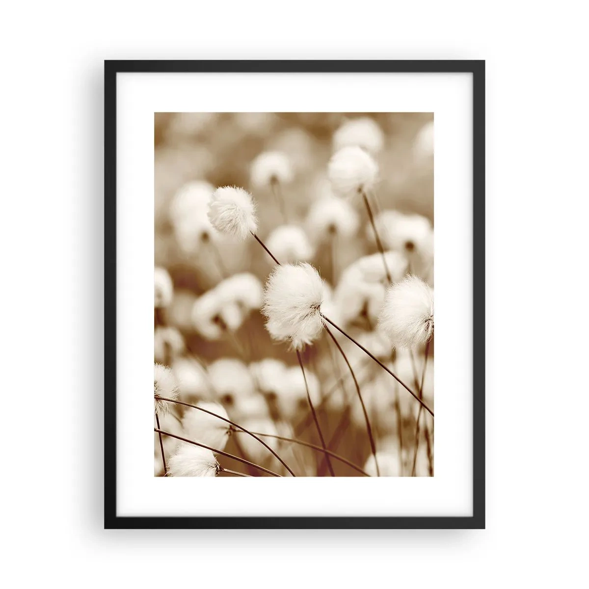 Plakát v černém rámu - Chlupatý lán - 40x50 cm