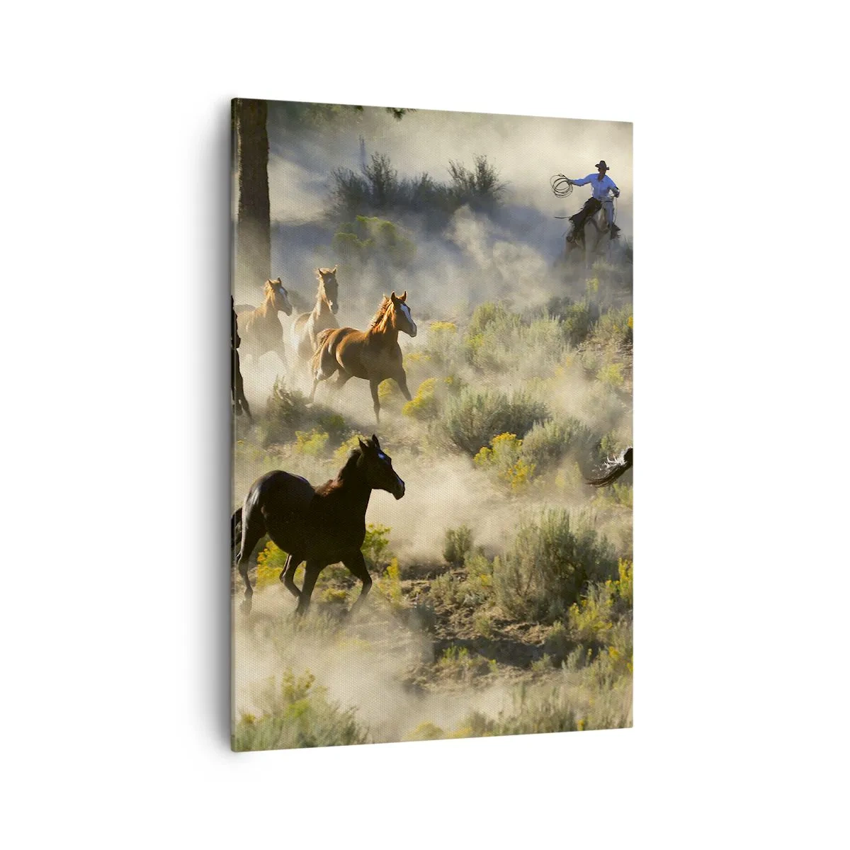 Obraz na plátně - Rivalita - svoboda nebo mužská síla? - 70x100 cm