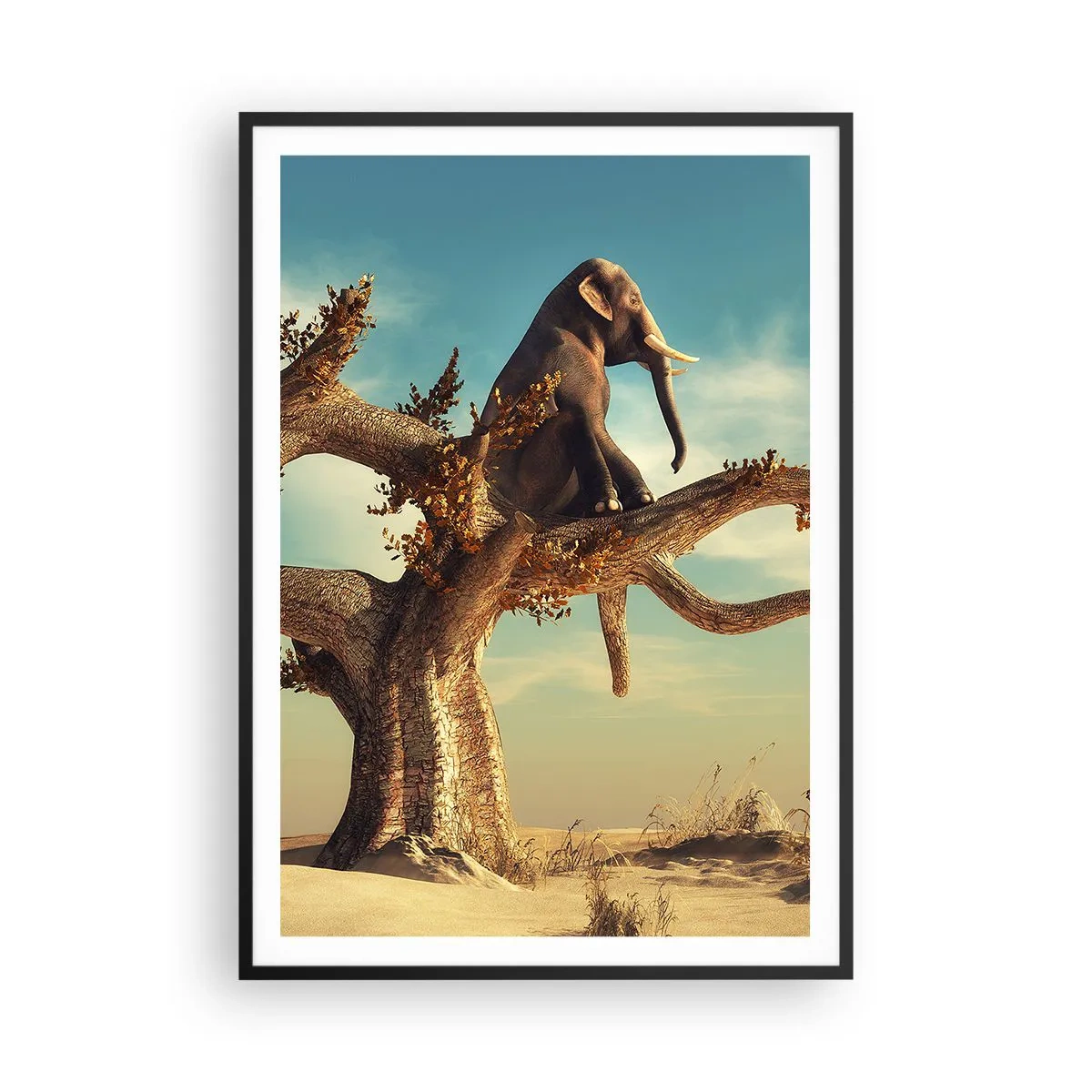 Plakát v černém rámu - Nový úhel pohledu - 70x100 cm