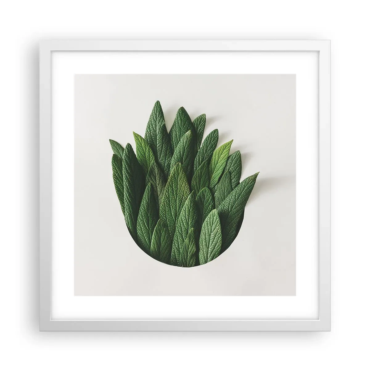 Plakát v bílém rámu - Neukojitelná zvědavost - 40x40 cm