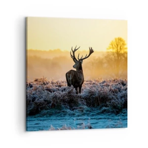 Obraz na plátně - Korunován na svém panství - 60x60 cm