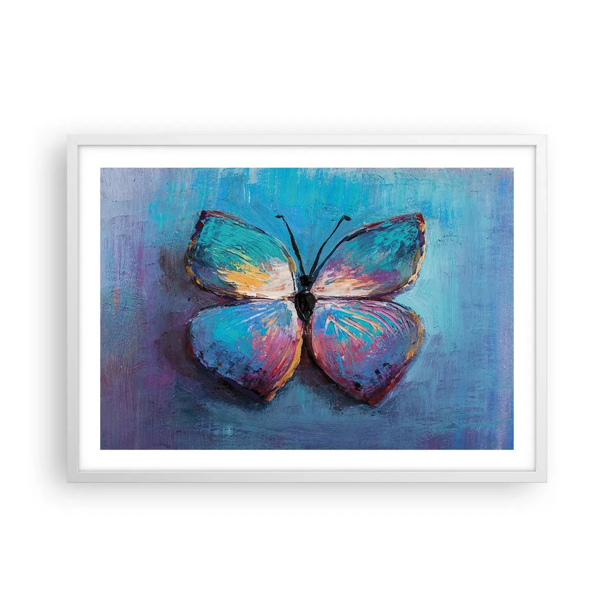 Plakát v bílém rámu - V celé své kráse - 70x50 cm